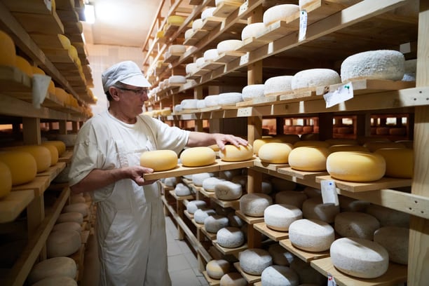 Artisan cheese production